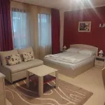 Snow Mountain Grand Monastery Apartment