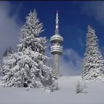 Snow Mountain Grand Monastery 아파트 팜포로보
